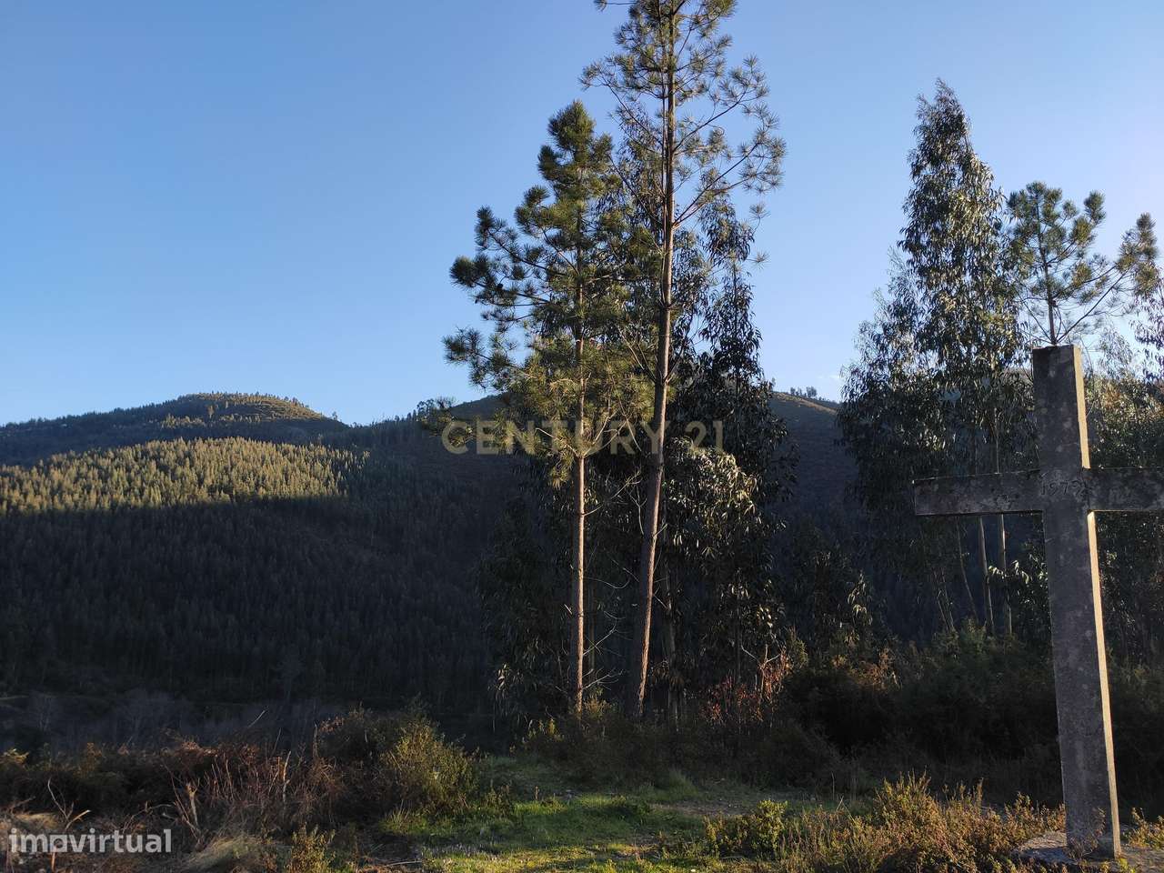 Terreno Florestal na Paradinha Arouca - Grande imagem: 1/4