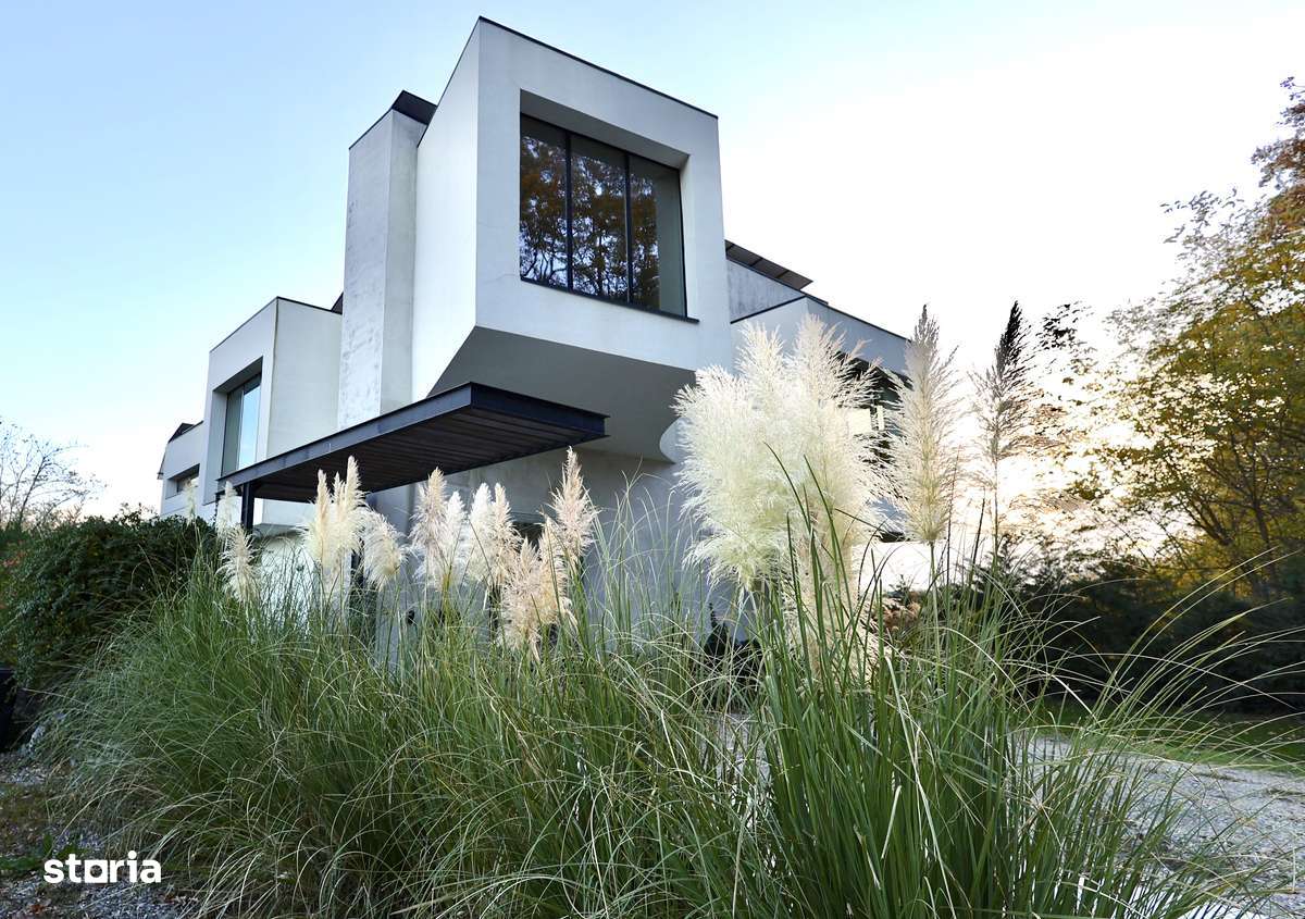 Casă-concept cu arhitectură modernă, situată lângă pădure - Imagine principală: 5/20