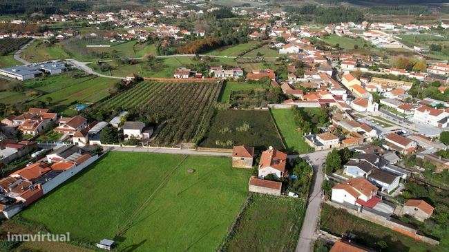 Terreno rústico, para venda, Anadia - Amoreira da Gândara, Paredes ... - Grande imagem: 5/16