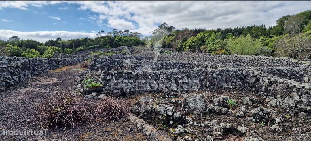 Terreno Porto Martins - Ilha Terceira - Grande imagem: 4/20