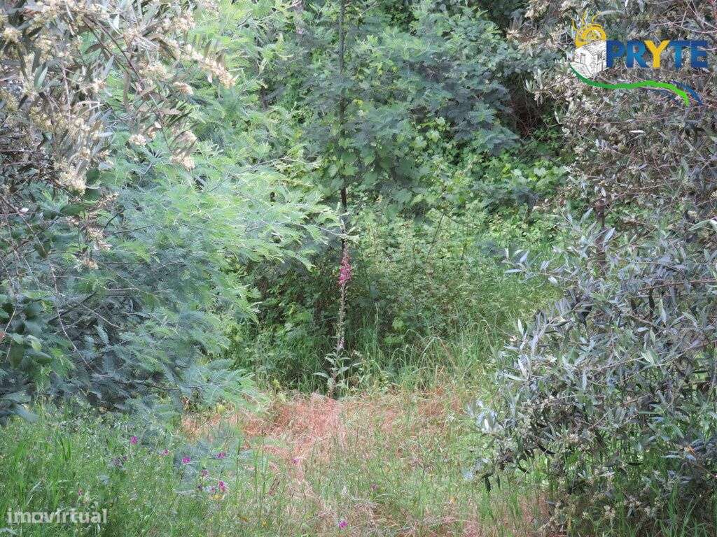 Pequena quinta a confinar com a Ribeira situada perto de Oleiros-43