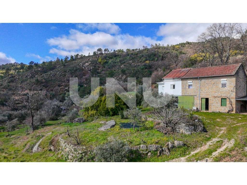 Quinta T2 com Habitação, Infraestruturas Agrícolas e Terreno com Vi...-8