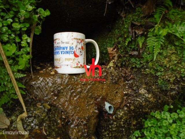 Quinta Magnifica Em Amarante Com Frente Rio e Possibilidade de Ancorad-16