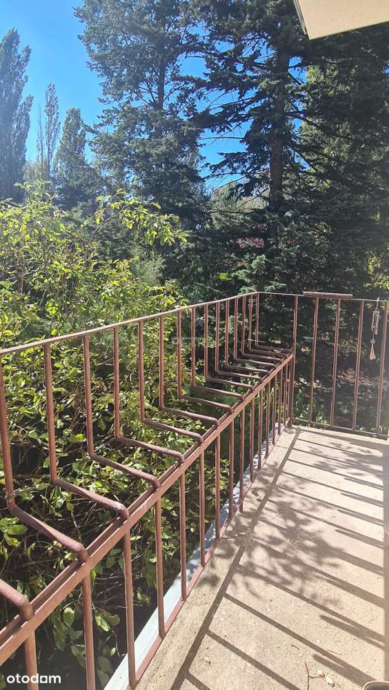 Po remoncie  2-3 pokojowe  przy Wum-16