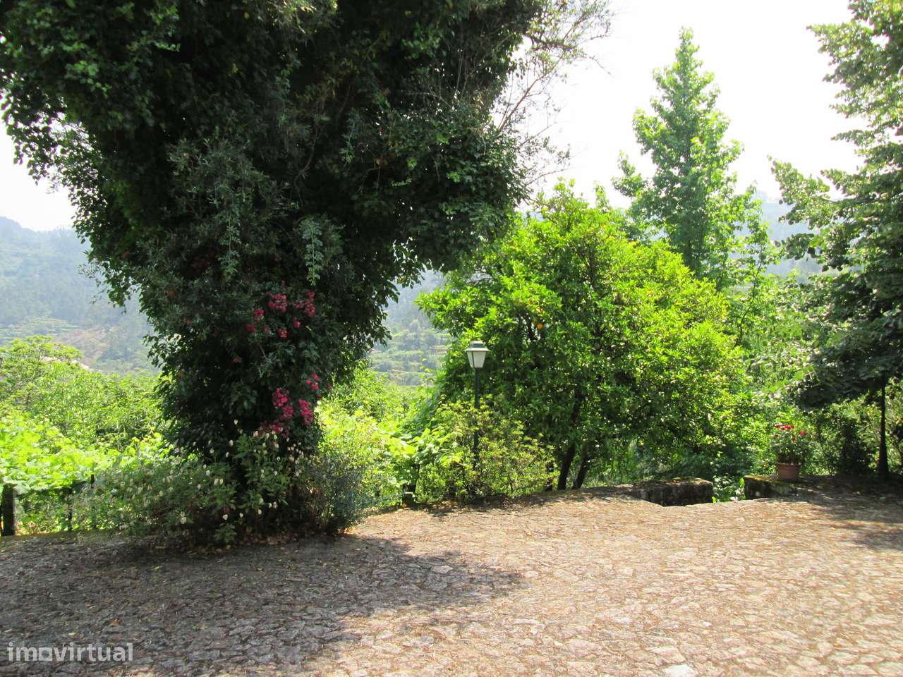 Quintinha no Minho Ponte de Lima * 10.000 m2 * a 90 Km do Porto-28