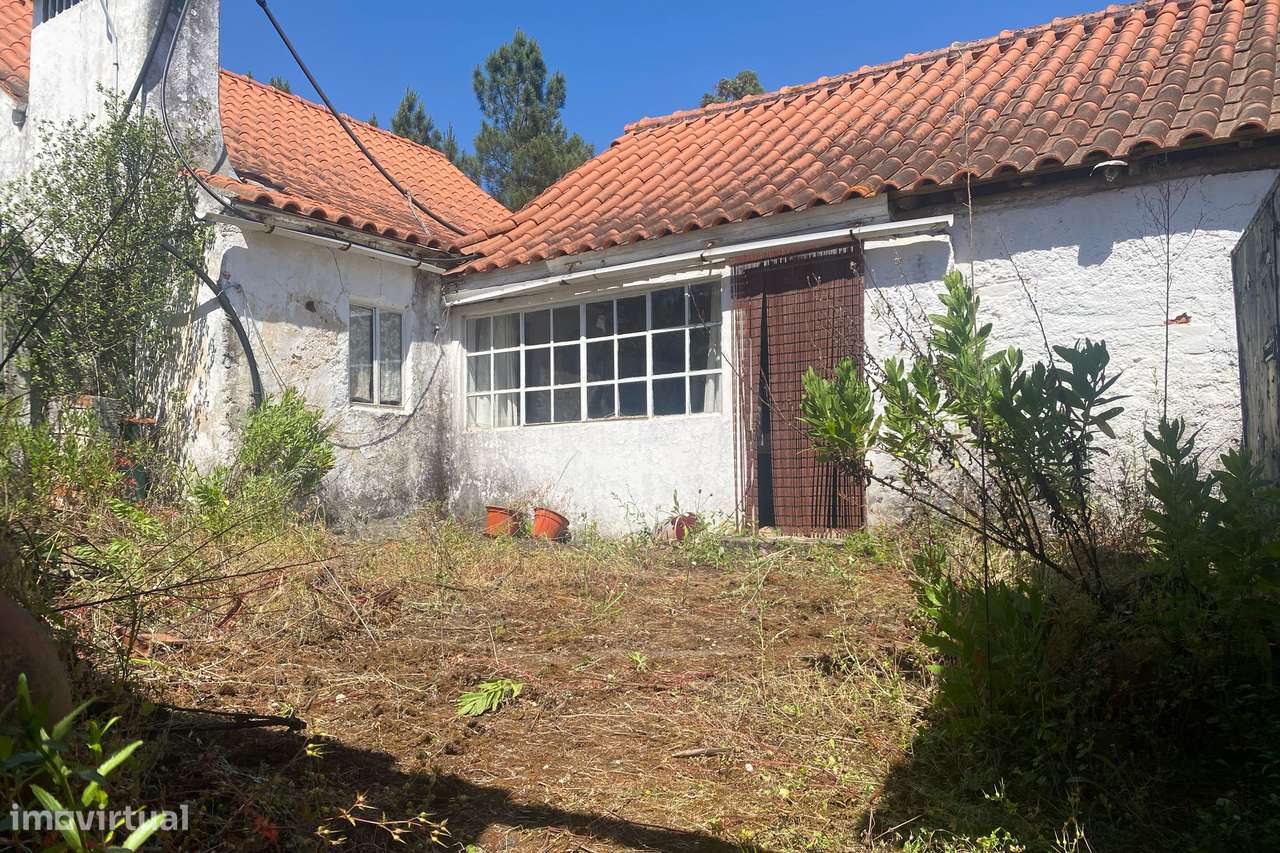 Oportunidade Única na Sabacheira, perto de Fátima-10