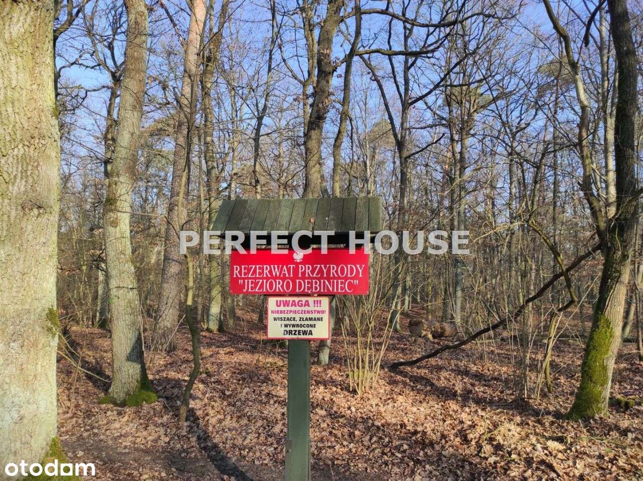 działka budowlana z Mpzp i mediami w drodze - Pełny obrazek: 5/14