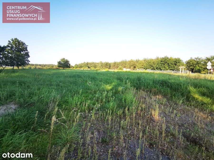 Działka 25 arów Trzebcz - Pełny obrazek: 4/17