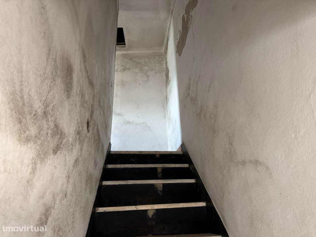 Moradia V1 - Grande imagem: 4/9