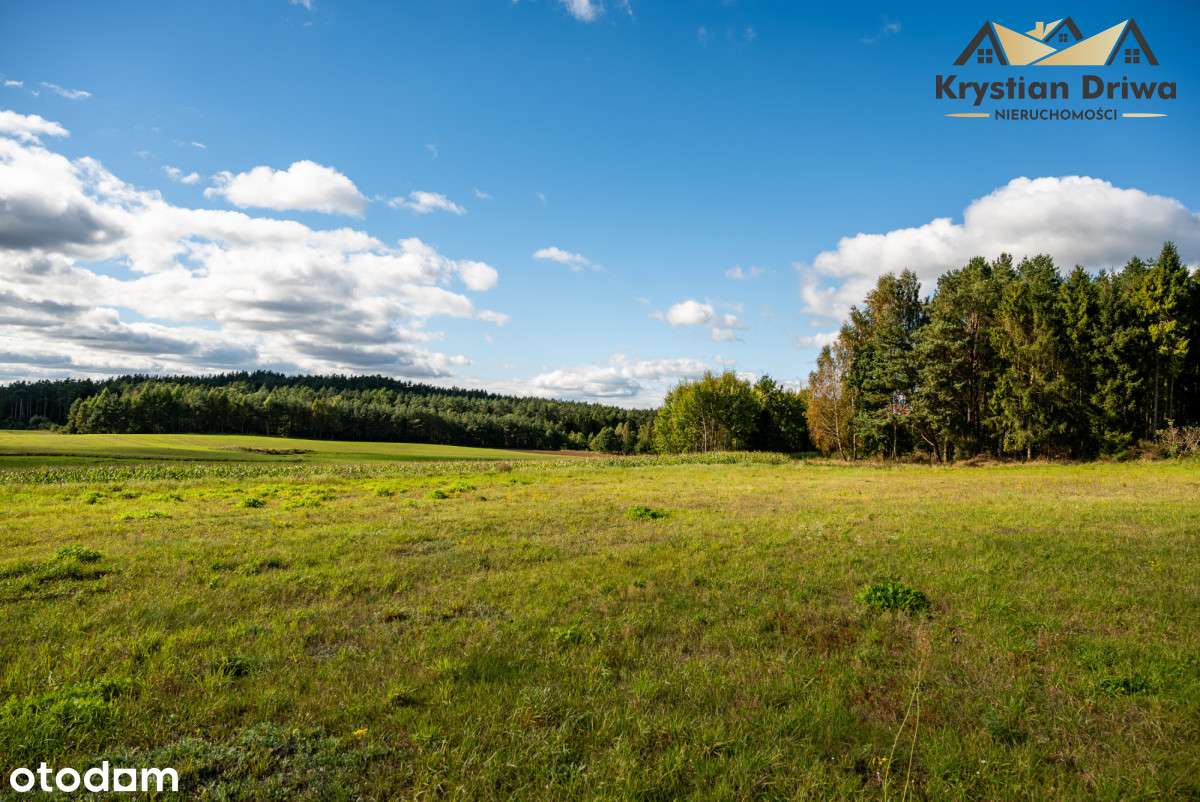 Działka budowlana w Nawczu (gm. Łęczyce)! - Pełny obrazek: 5/11