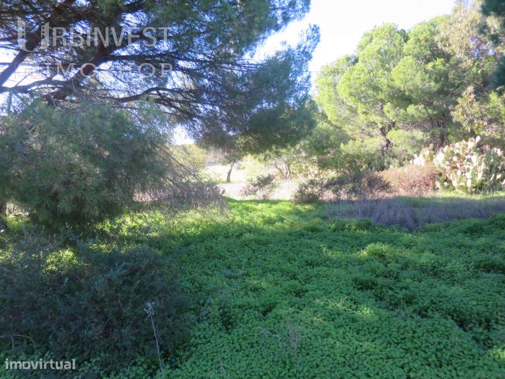 Lote de terreno na estrada de Quarteira, Algarve - Grande imagem: 4/11