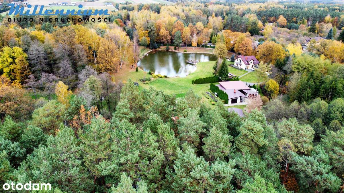 Rezydencja, staw, rzeka w Sercu Natury pod Łodzią - Pełny obrazek: 5/20
