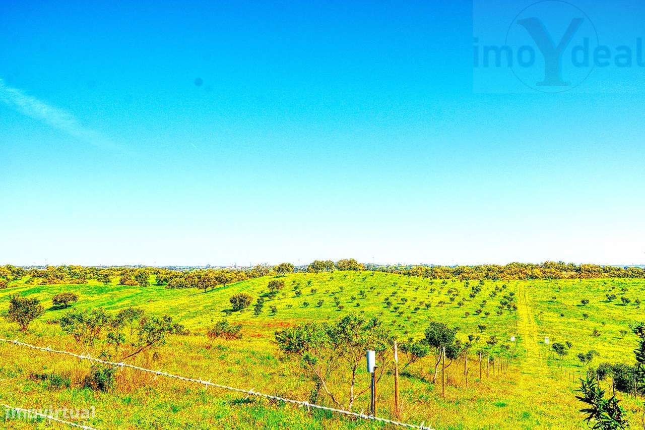 TERRENO EM S.BARTOLOMEU DA SERRA-26