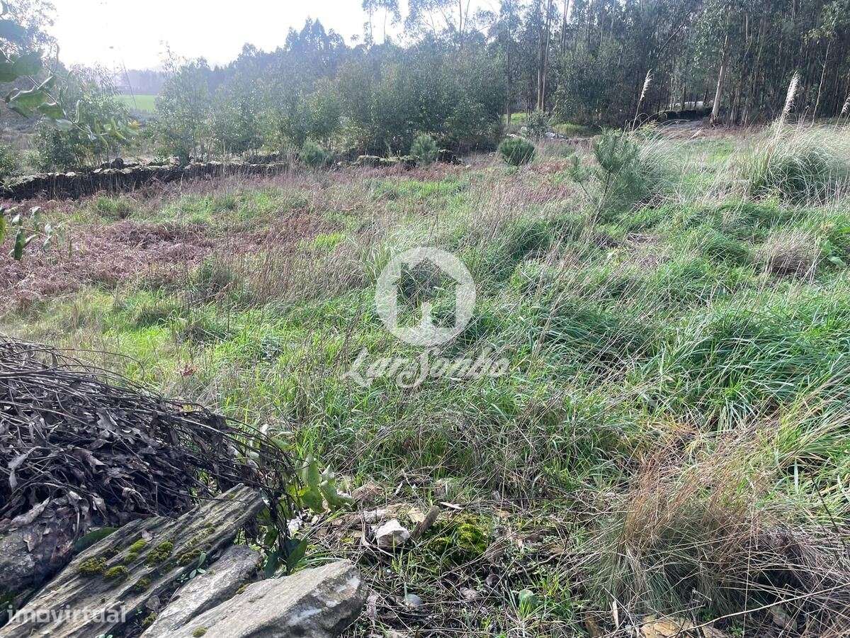 Terreno Florestal 14.500m2, Balazar - Póvoa de Varzim - Grande imagem: 5/20