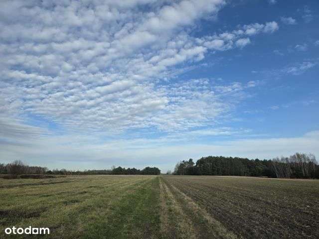 Sprzedaż 4 działek po 3000 m2-1