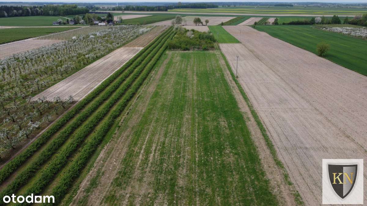 Siedlisko z zabudowaniami-11