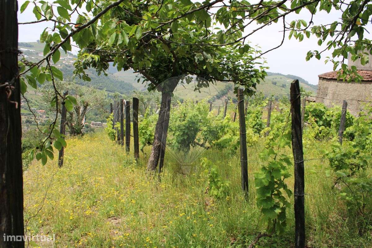 Moradia T0 para venda - Grande imagem: 5/6