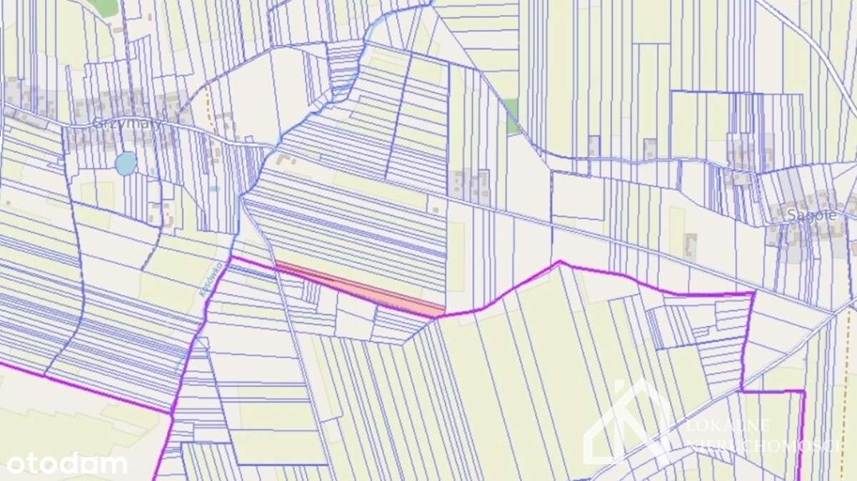 Grunty rolne o powierzchni ponad 2 ha w Sągolach na sprzedaż! - Pełny obrazek: 4/4