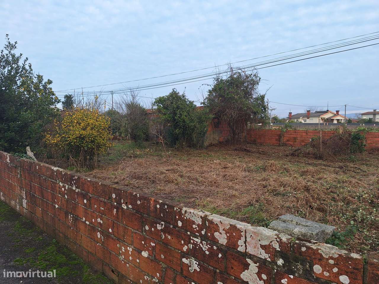 Terreno com 2 moradias independentes em Avanca - Grande imagem: 3/5