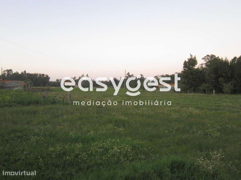 Terreno para construção em Arazede - Grande imagem: 4/4