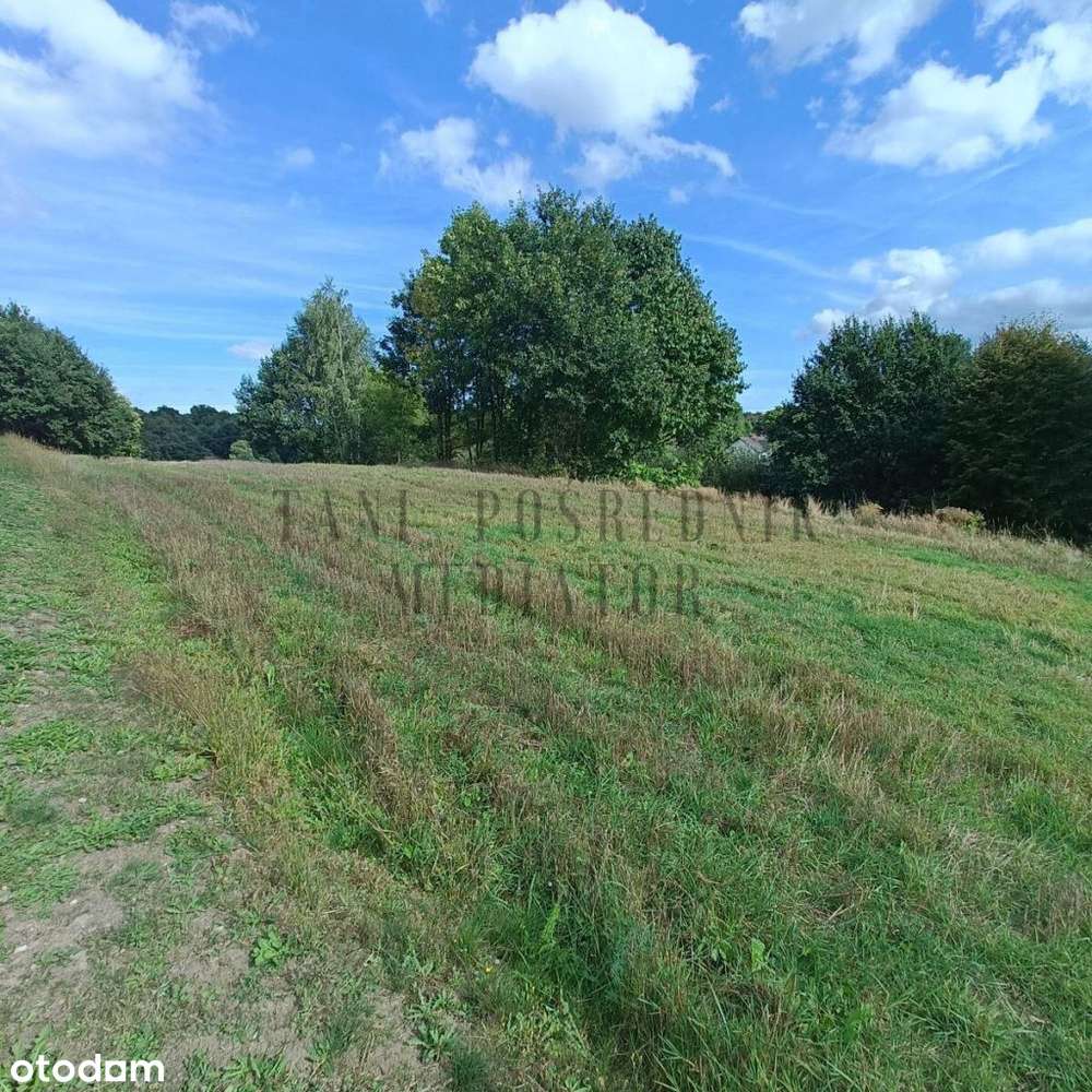 Działka budowlana Połomia ul. Centralna - Pełny obrazek: 5/7