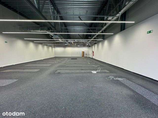 Lokal, Braniewo, ul. Żeromskiego 19 - Pełny obrazek: 4/7