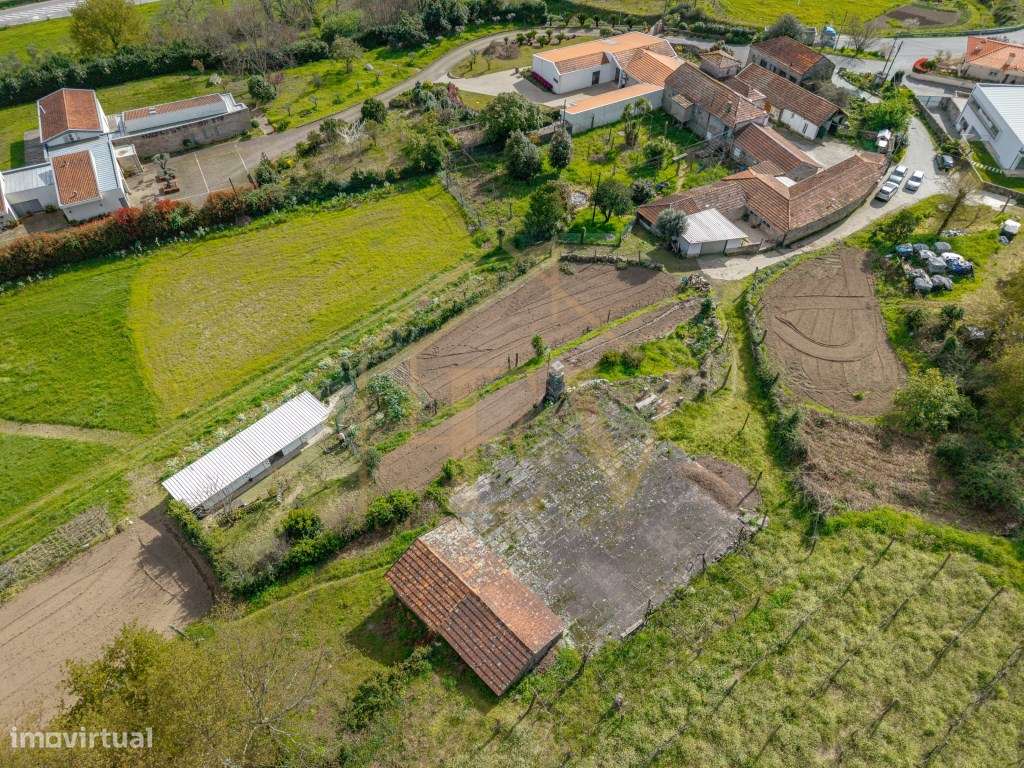 Quinta com Potencial de Expansão | Lordelo - Guimarães-39