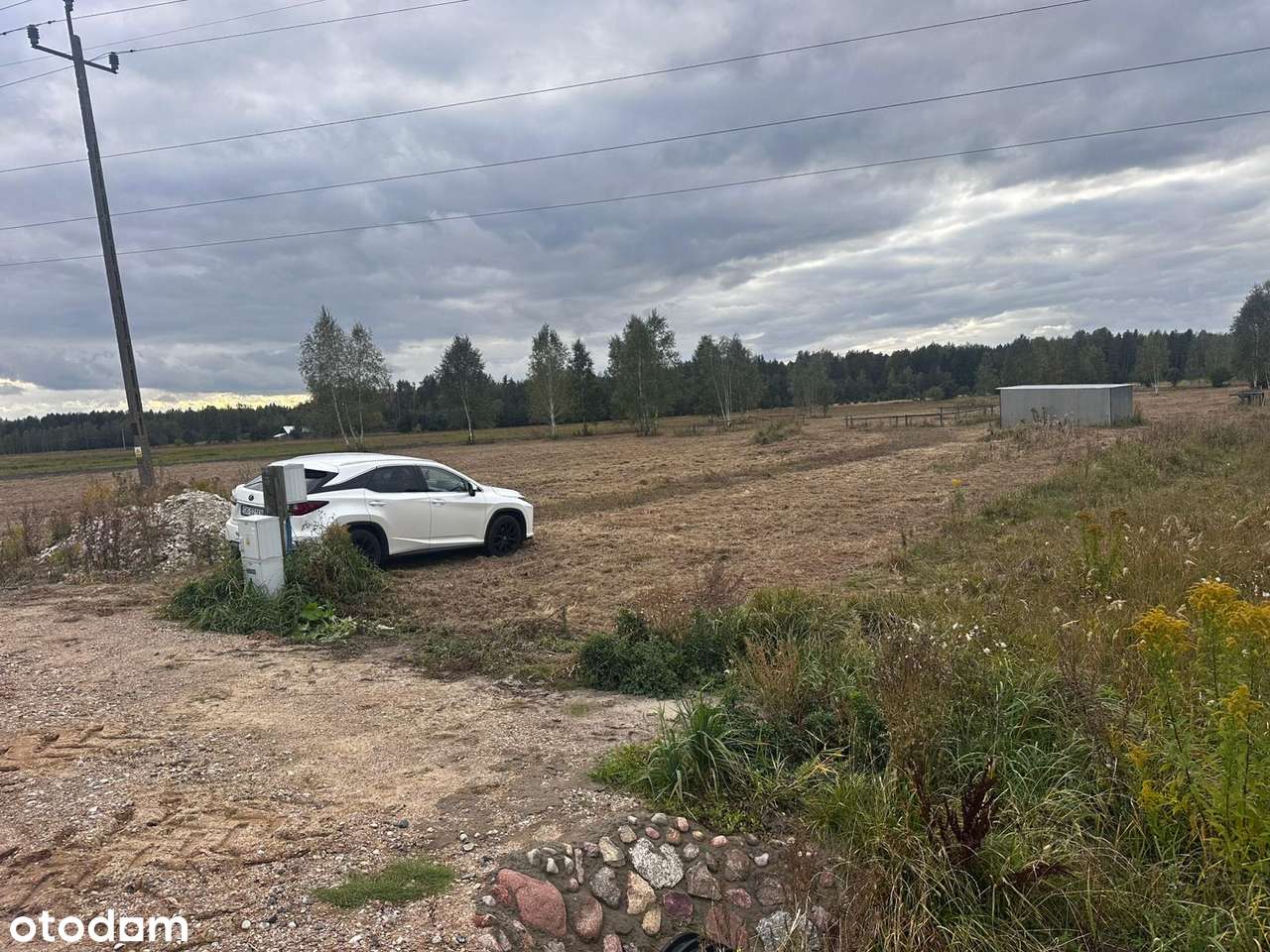 ELIASZUKI Dz o pow 4,4310 ha z własnym Puszczańskim Lasem BEZ SASIADÓW-5