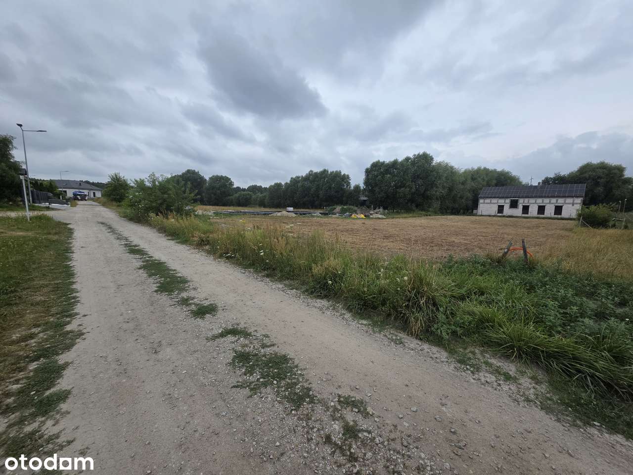 PIĘKNA OSTATNIA Działka Kórnik(Mościenica)las,jezioro,cisza,prywatnie - Pełny obrazek: 5/5