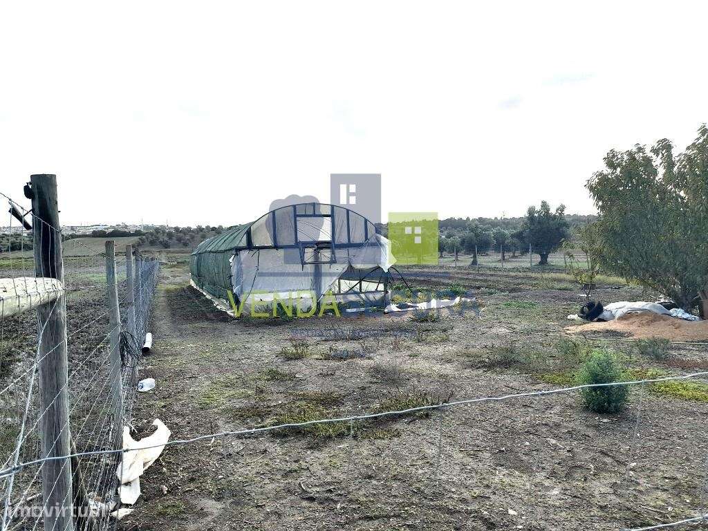 Terreno Rústico | Beringel | Beja - Grande imagem: 3/16