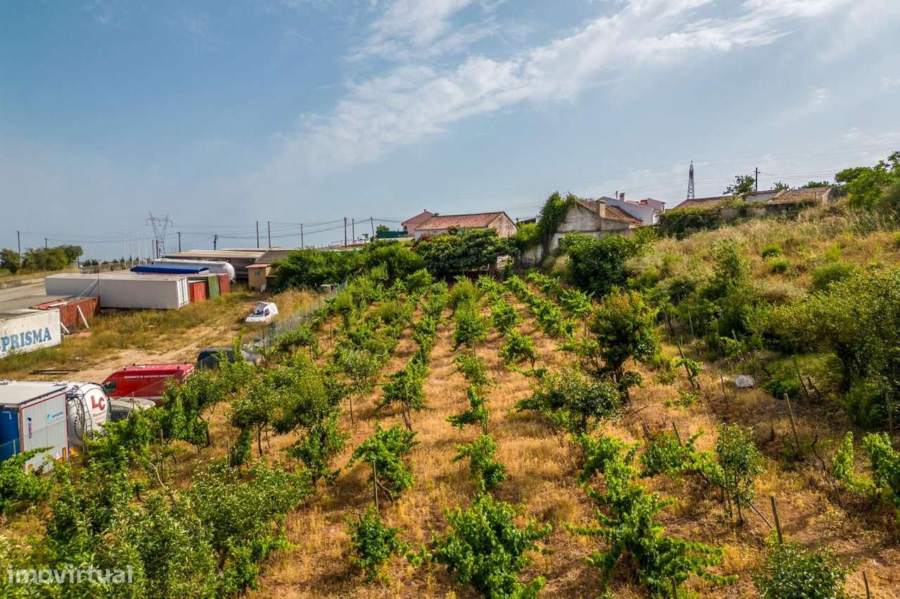 Loteamento misto, para venda, Alenquer - Alenquer - Grande imagem: 5/29
