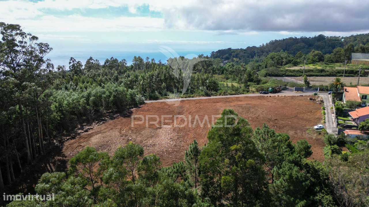 Terreno loteado na Camacha – 5 lotes com possibilidade de construir... - Grande imagem: 5/22