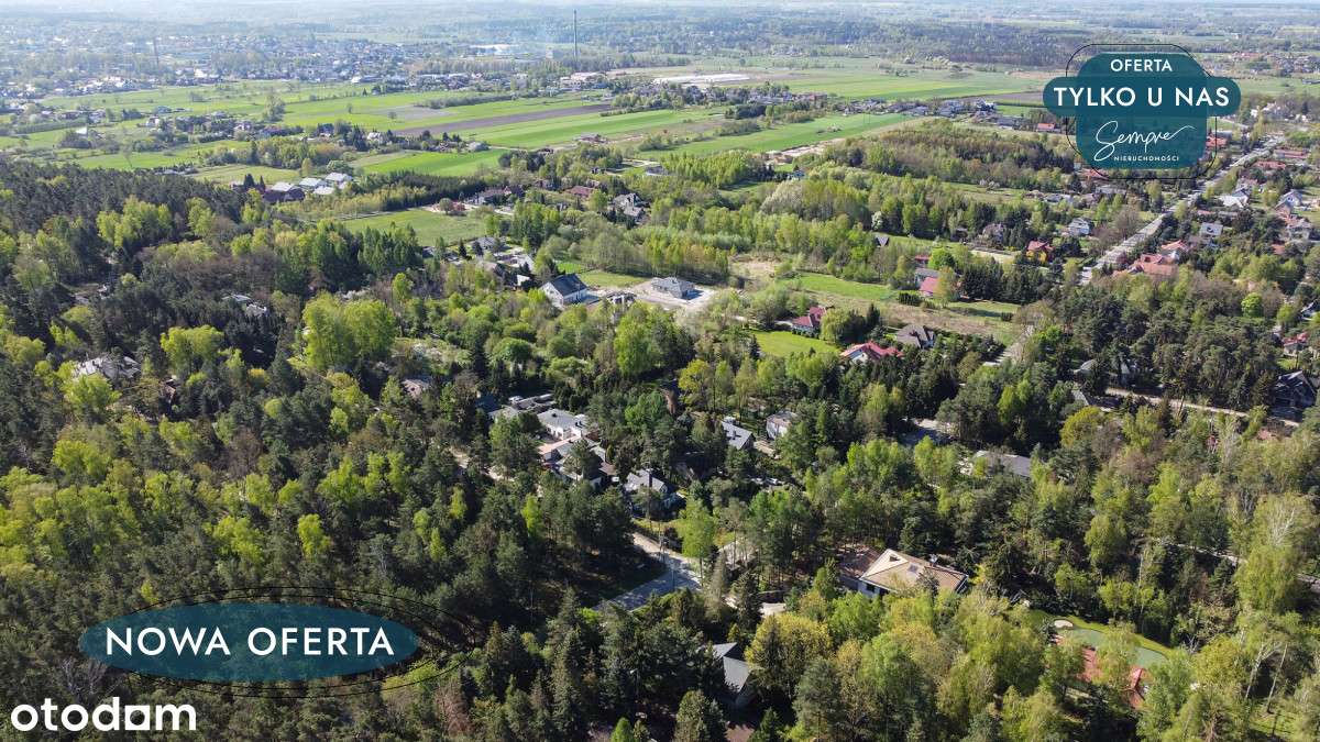 Najpiękniejsza w Żabiczkach - Pełny obrazek: 4/7