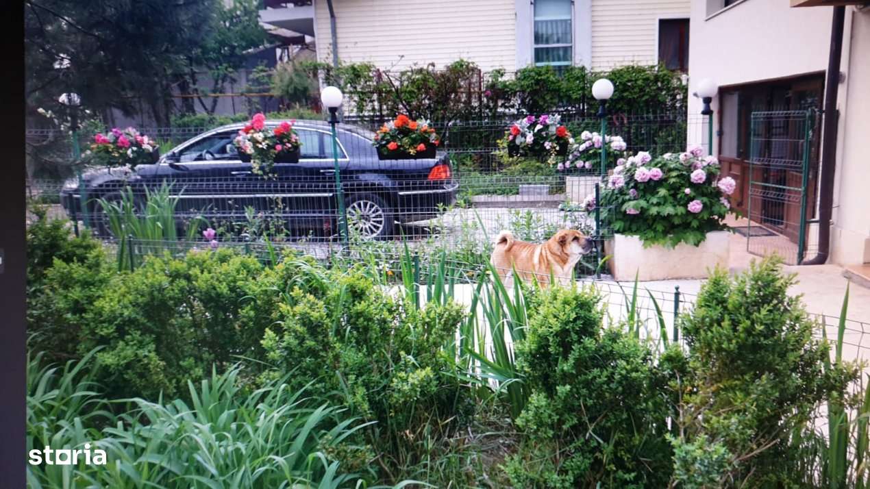 VILA SAFTICA individuala-17