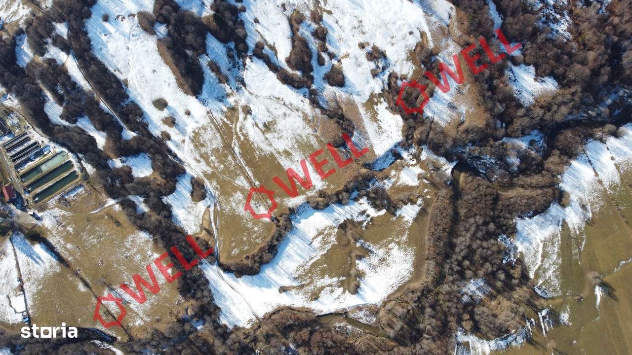 De vânzare teren extravilan în localitatea Vama Buzăului! - Imagine principală: 3/4