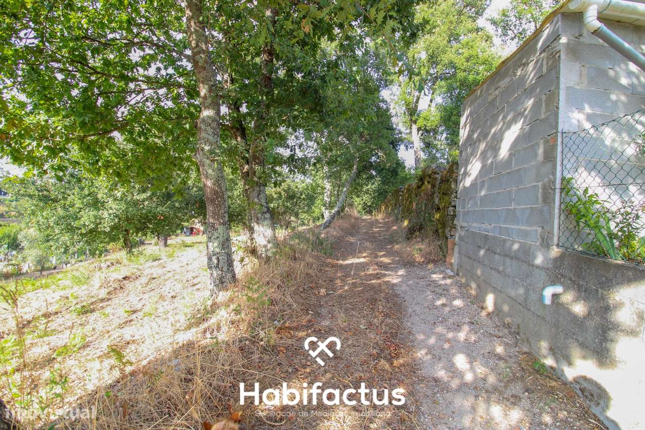 Terreno para Construção em Sabugosa – 1470m² - Grande imagem: 4/13