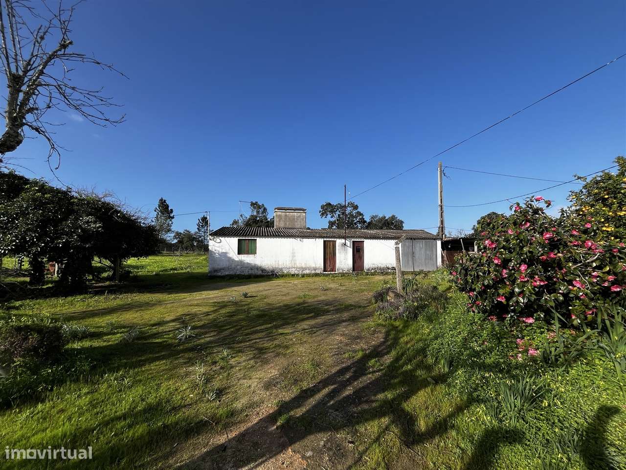Terreno Urbano  Venda em Cortiçadas de Lavre e Lavre,Montemor-o-Novo-9