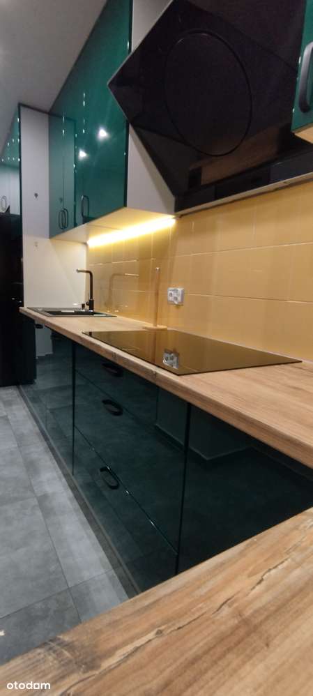 Atrakcyjne, po remoncie, parter,balkon,ogródek! PILNIE!-8