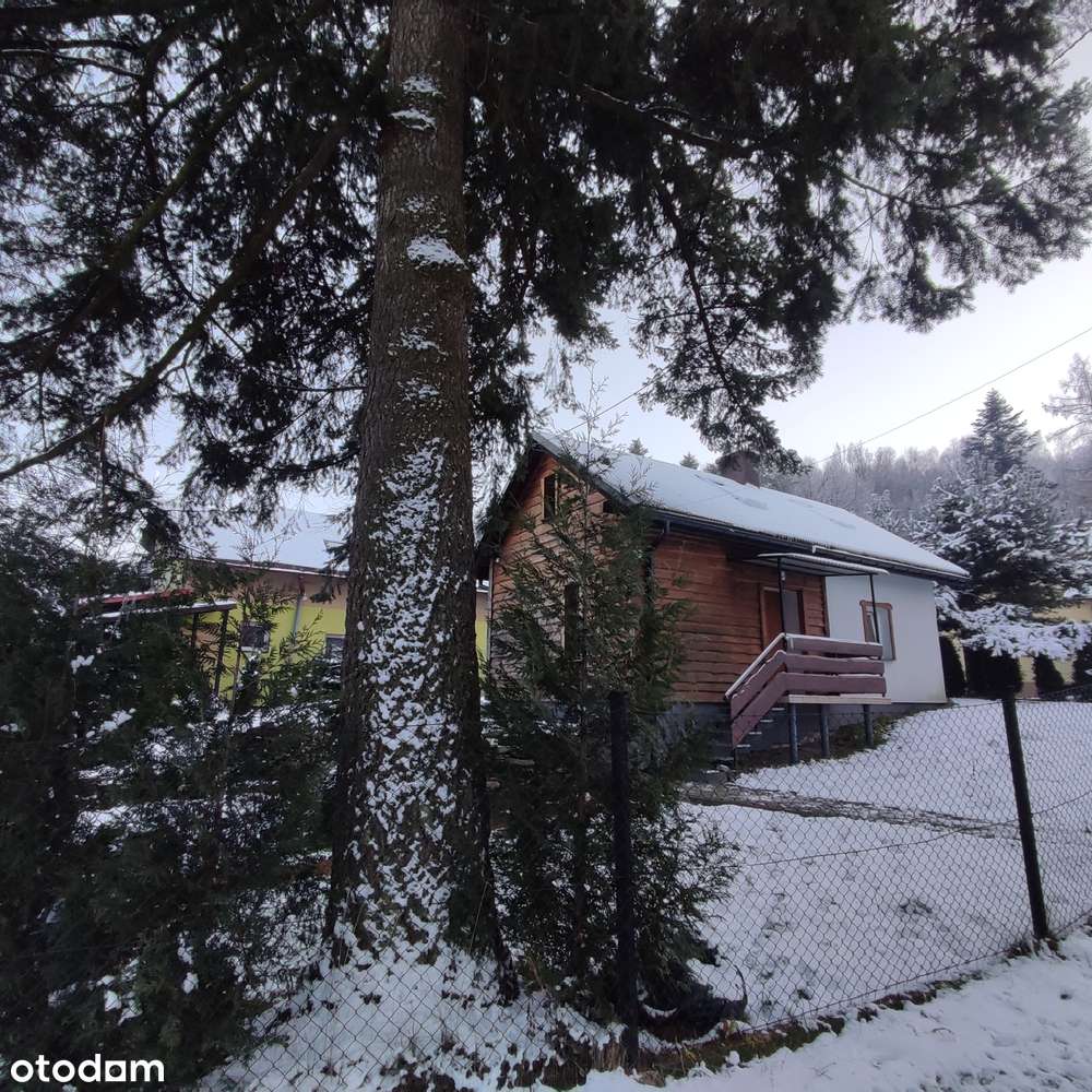 Dom w cenie mieszkania! 55 m², 5 arów działki, Bystra – 449 000 zł-13