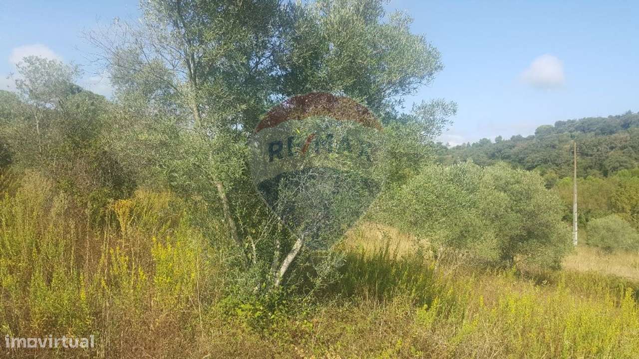 Terreno  para venda - Grande imagem: 2/18