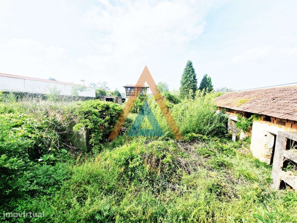 Maravilhosa quinta com casa e terreno-12