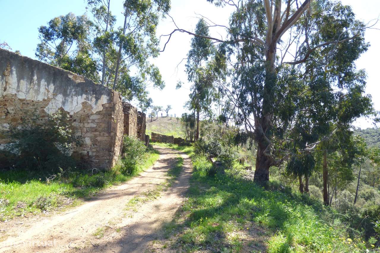 Herdade no Algarve, excelente  para turismo rural, ou Habitação. Tem 1 - Grande imagem: 3/36