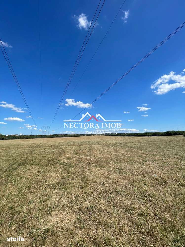 NECTORA IMOB-Teren Zona Osorhei, 5500 mp, 21 ml Front, 210 ml adancime - Imagine principală: 3/8