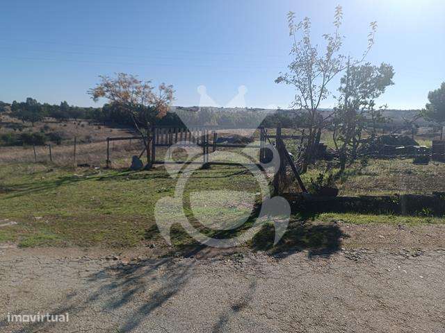 RUÍNA PARA RECUPERAR - CERROS REGUENGOS DE MONSARAZ-8