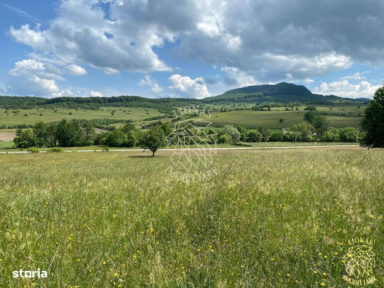 Teren 6500 mp-Lac-vedere panoramica-ideal cabana-Cusma - Imagine principală: 3/8