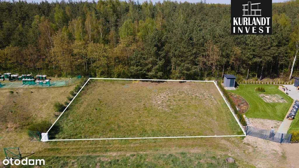 Działka z widokiem na las Bory Tucholskie - Pełny obrazek: 4/5