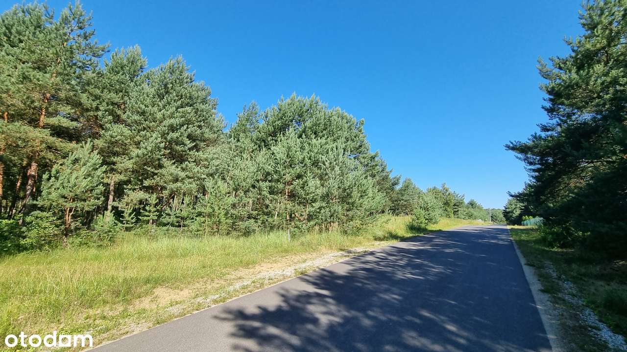 Działka ze starodrzewiem - Puszcza Zielonka Karczewko-14