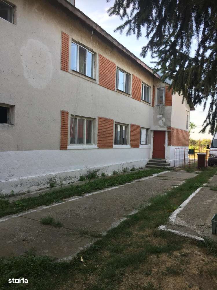 De Vanzare – Ferma de Pomi Fructiferi, 48,8 ha, Iancu Jianu, Jud. Olt - Imagine principală: 4/20