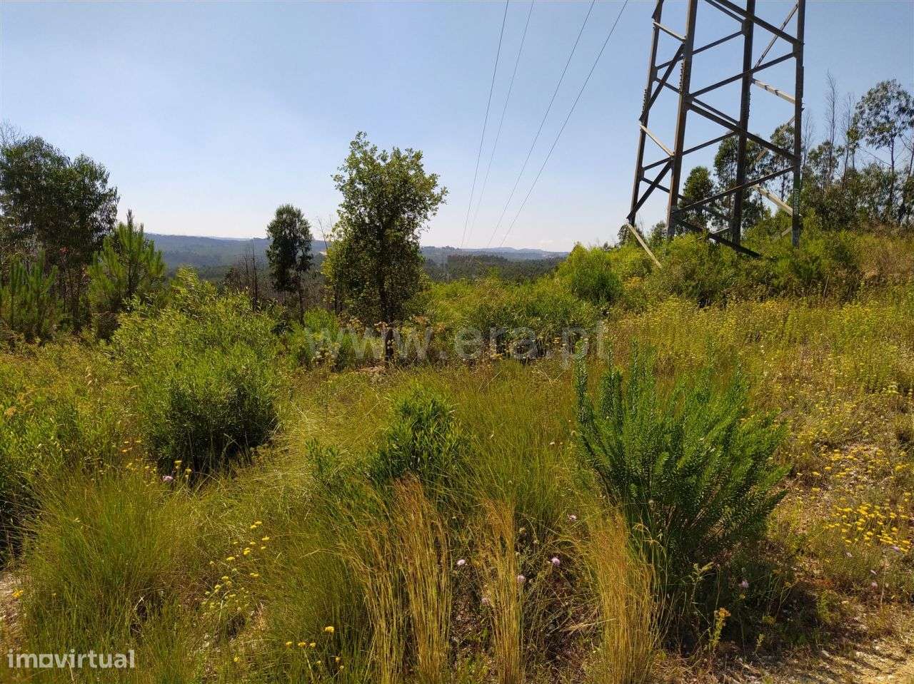 Terreno localizado em Sabacheira! - Grande imagem: 3/6