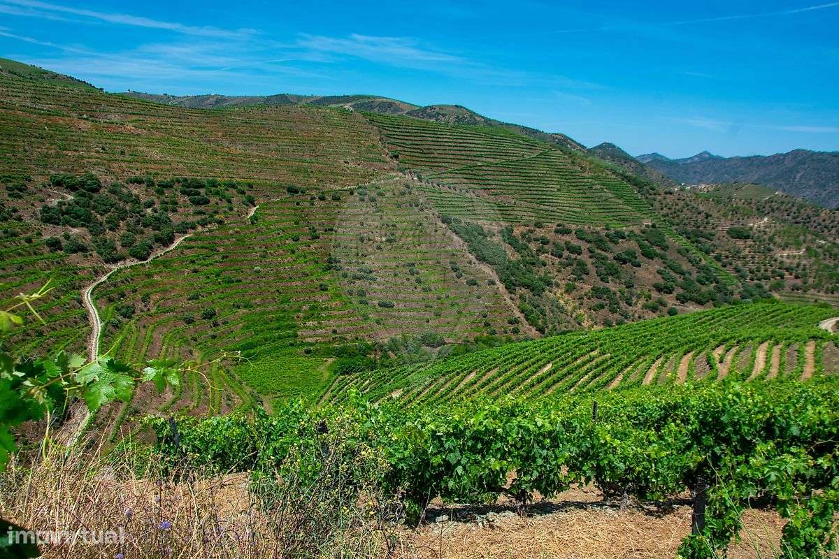 Terreno  para venda - Grande imagem: 4/11